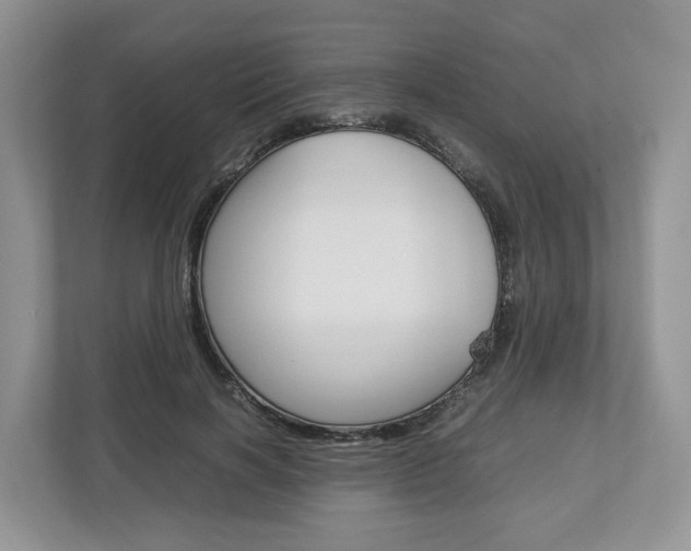 X0000113010646200908270940