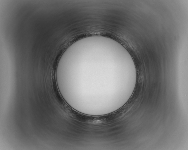 X0000113010647200908270940
