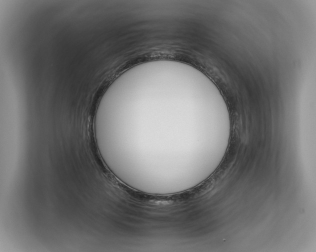 X0000113010649200908270940