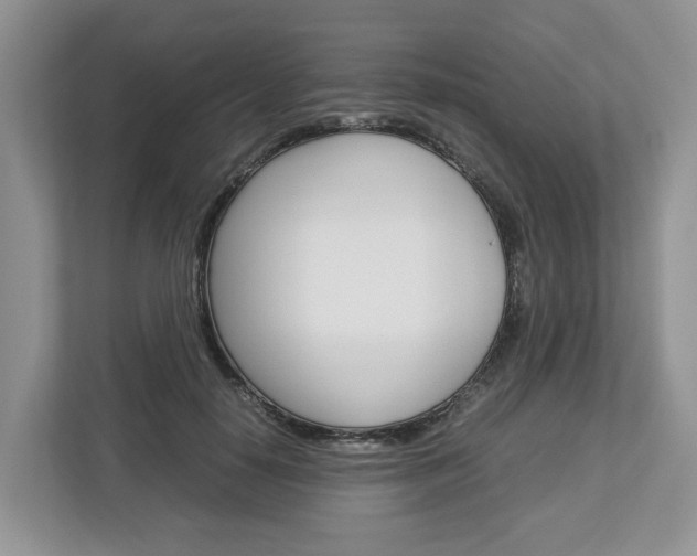 X0000113010650200908270940