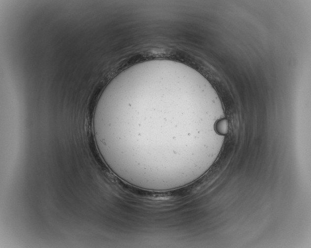 X0000113010651200908270940
