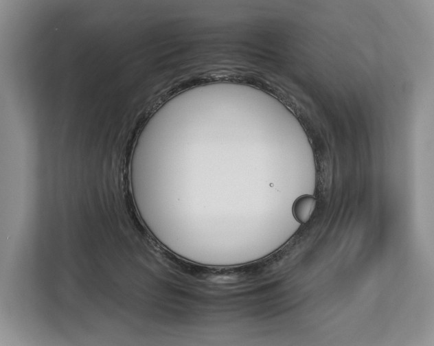 X0000113010653200908270940