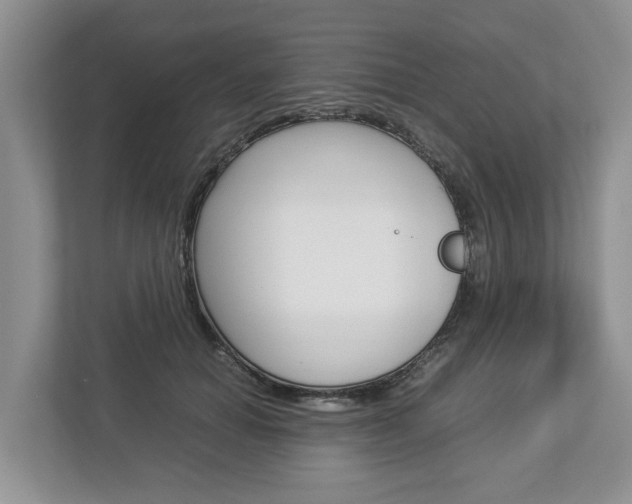 X0000113010654200908270940