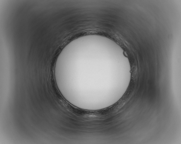 X0000113010655200908270941