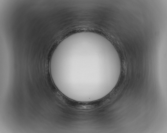 X0000113010657200908270941