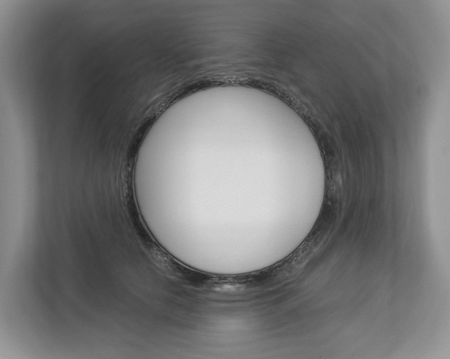 X0000113010658200908270941