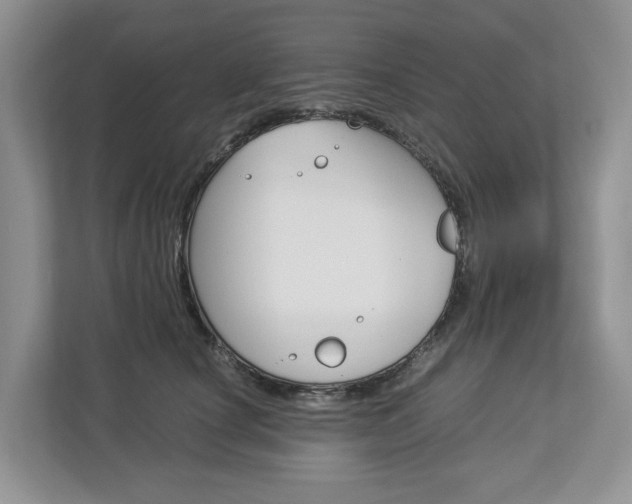 X0000113010660200908270941
