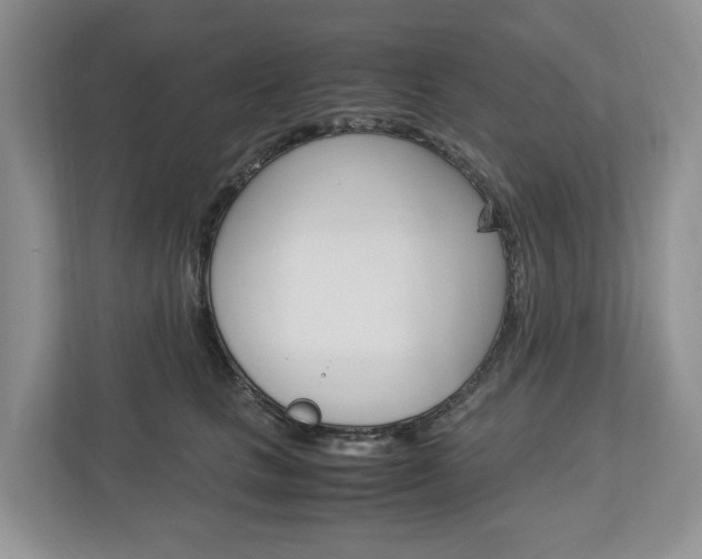 X0000113010661200908270941