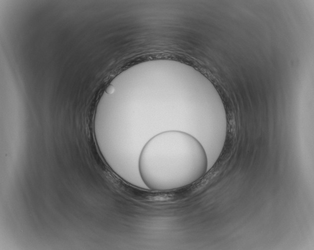 X0000113010662200908270941