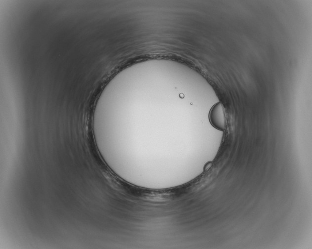 X0000113010664200908270941