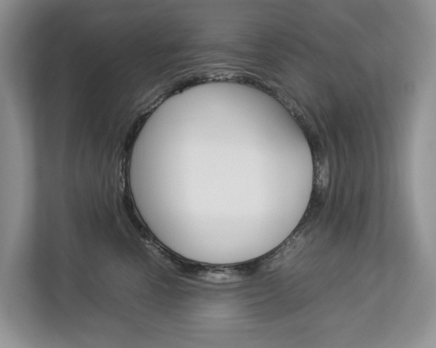 X0000113010666200908270941
