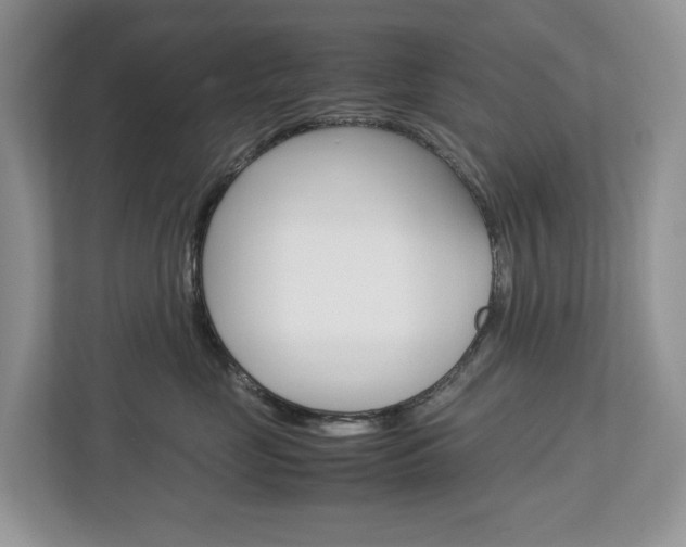 X0000113010669200908270941