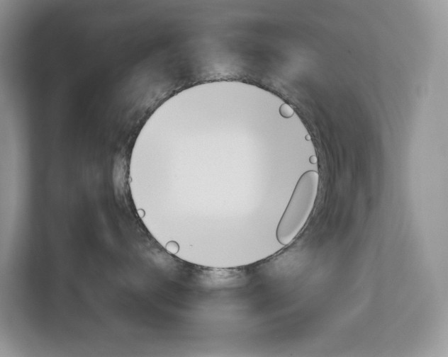 X0000113010672200908270941