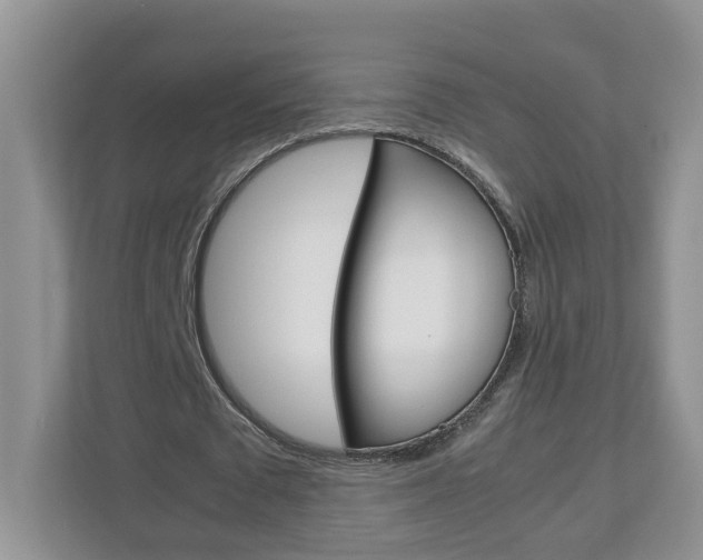 X0000113010673200908270940
