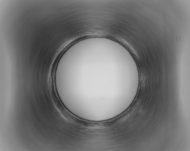 X0000113010674200908270940