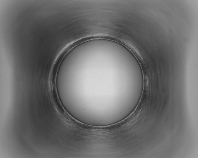 X0000113010676200908270940