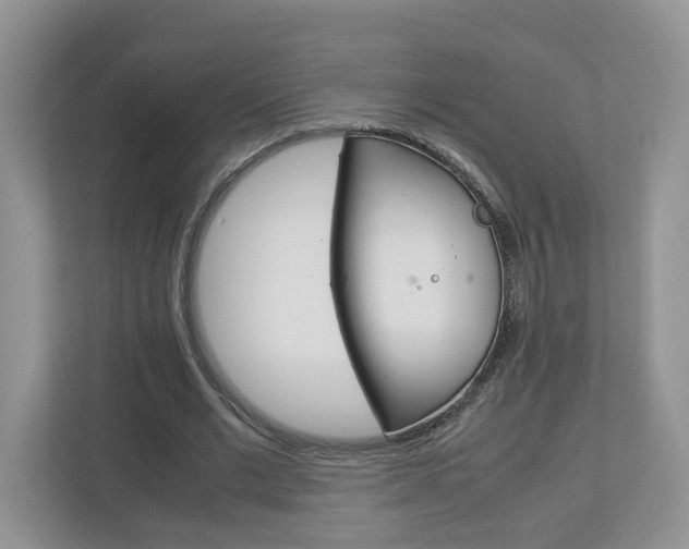 X0000113010677200908270940