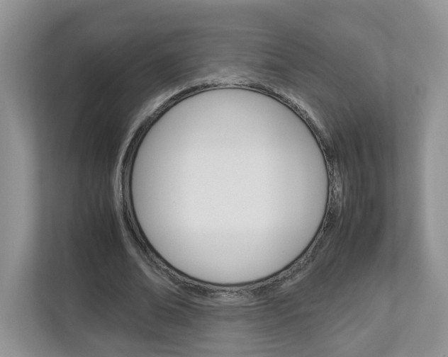 X0000113010678200908270940