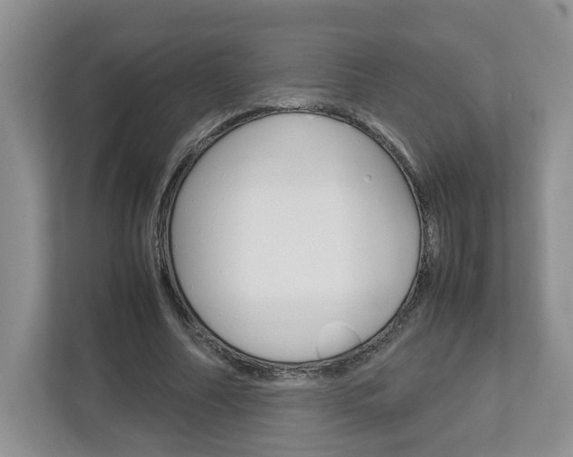 X0000113010682200908270940