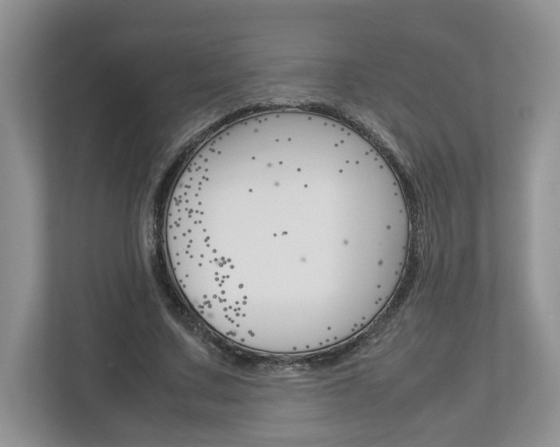 X0000113010683200908270940