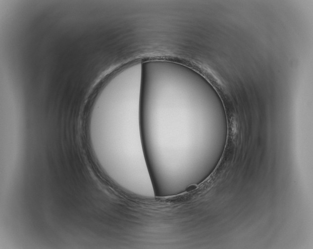 X0000113010684200908270940