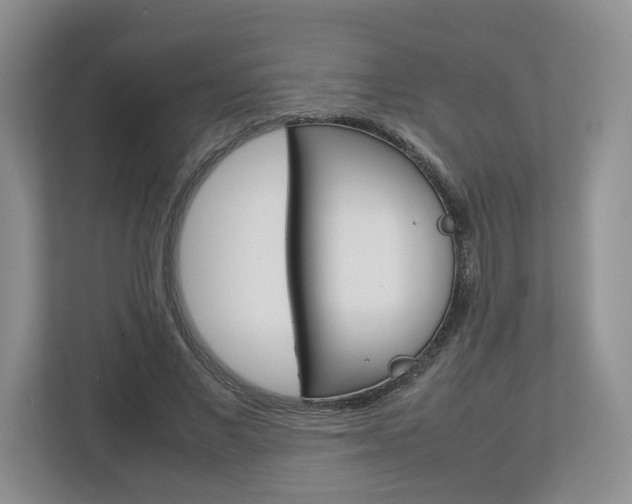 X0000113010685200908270940
