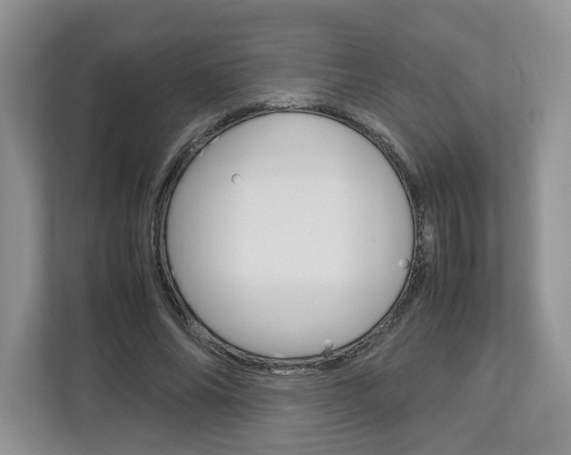 X0000113010686200908270940