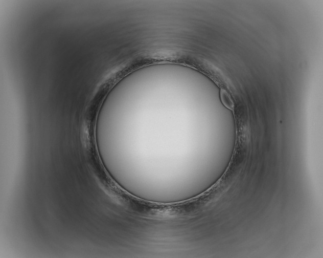 X0000113010688200908270940