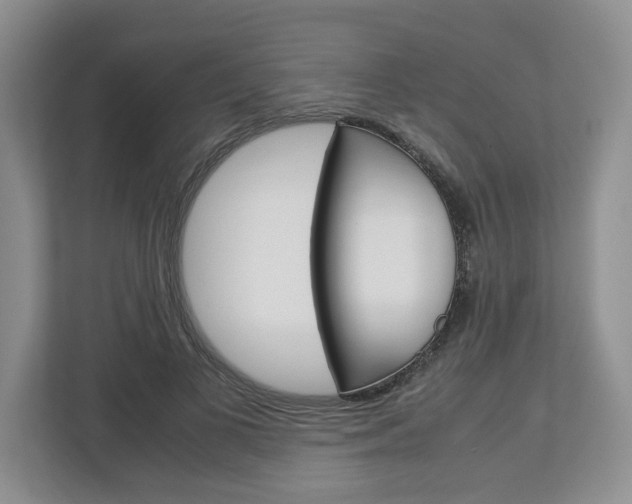 X0000113010693200908270940