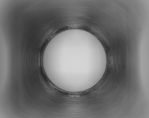 X0000113010694200908270940