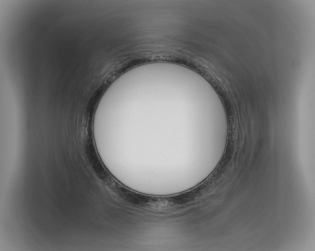 X0000113010695200908270940