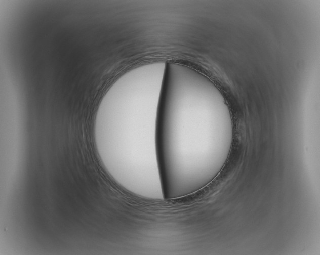 X0000113010697200908270940