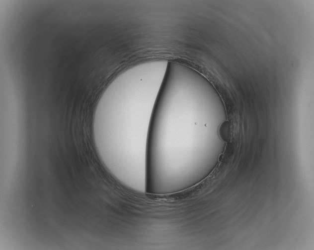 X0000113010700200908270940