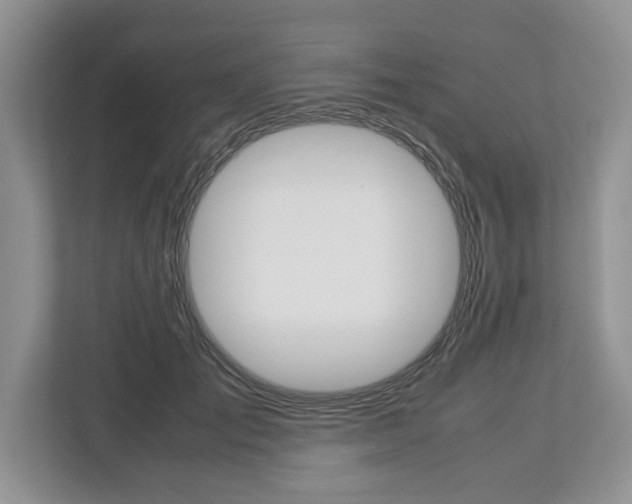 X0000113010701200908270940