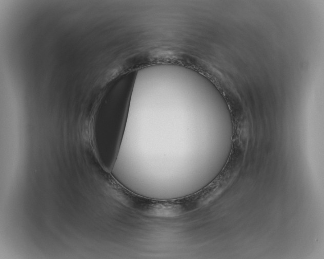 X0000113010708200908270940