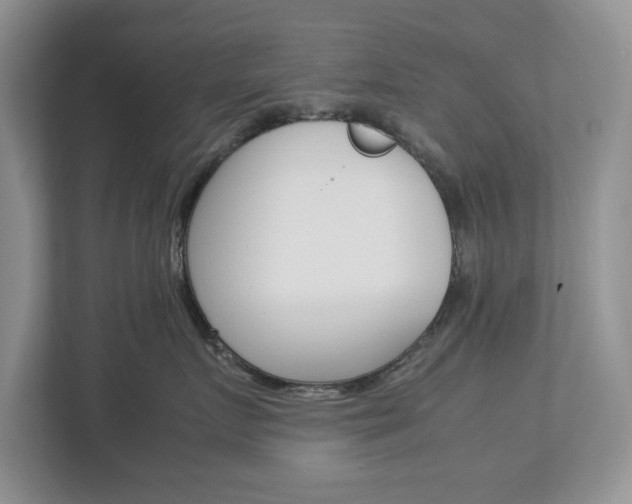 X0000113010719200908270939