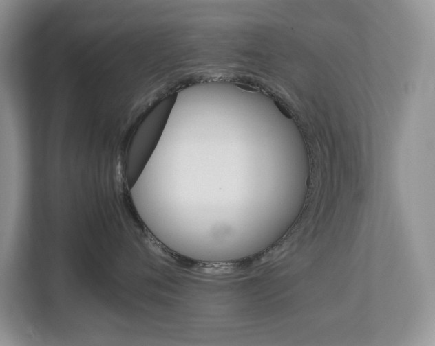 X0000113010720200908270939
