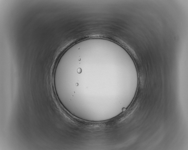 X0000113010721200908270939