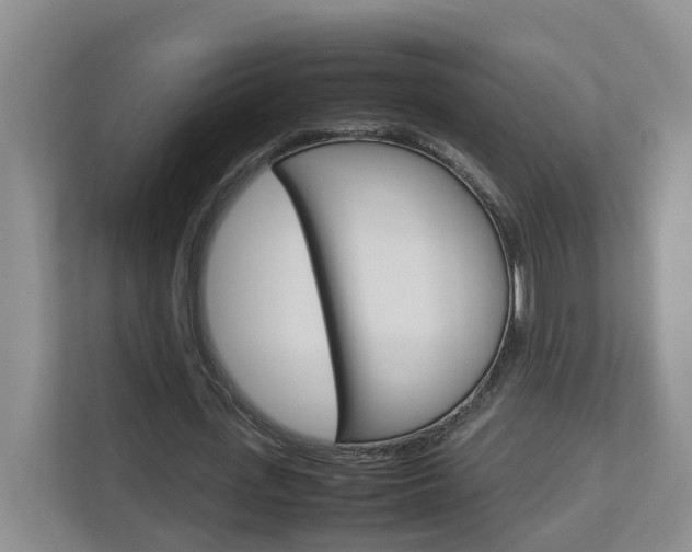 X0000113010723200908270939