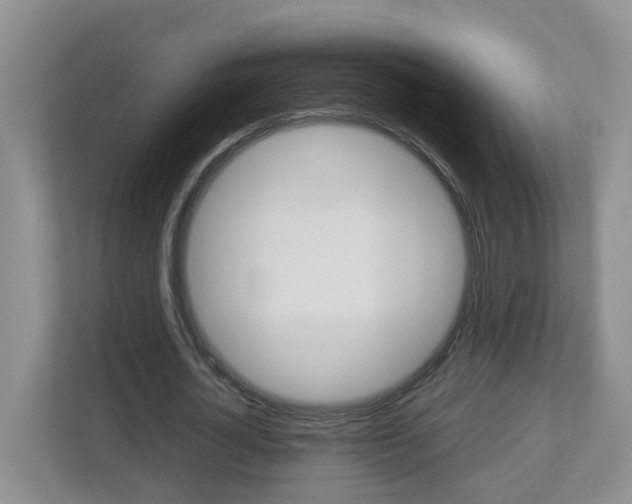 X0000113010724200908270939