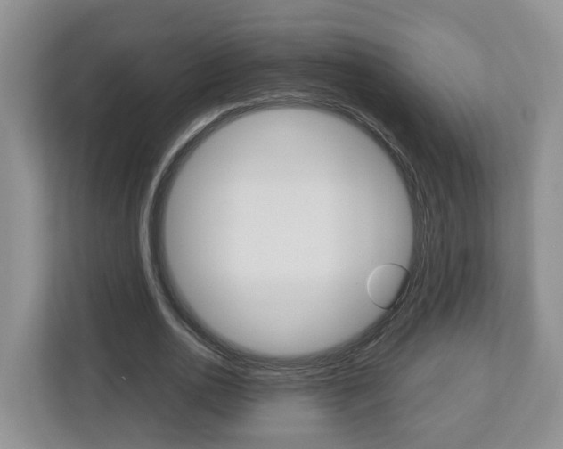 X0000113010726200908270939