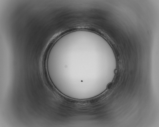 X0000113010727200908270939