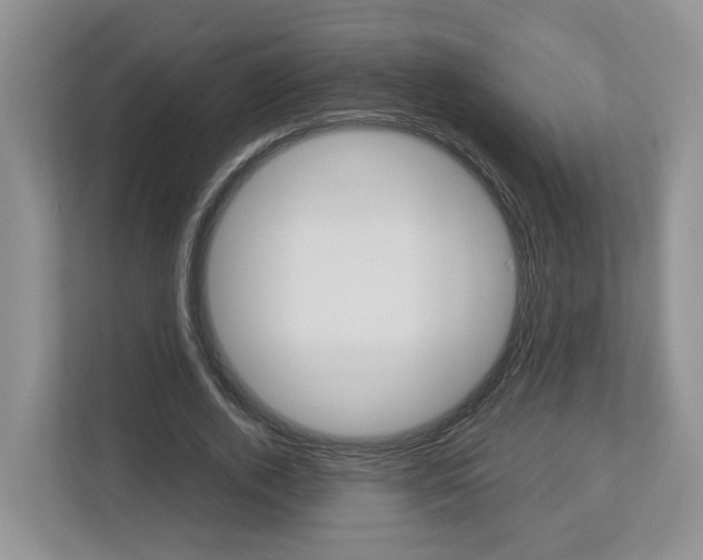 X0000113010728200908270939