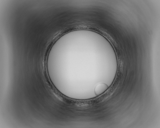 X0000113010729200908270939