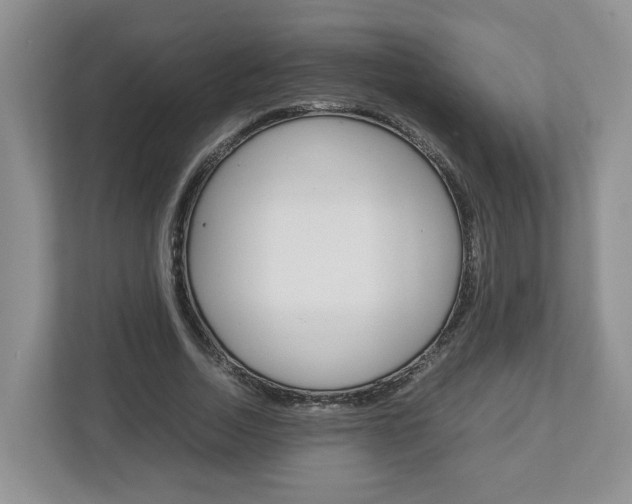 X0000113010730200908270939
