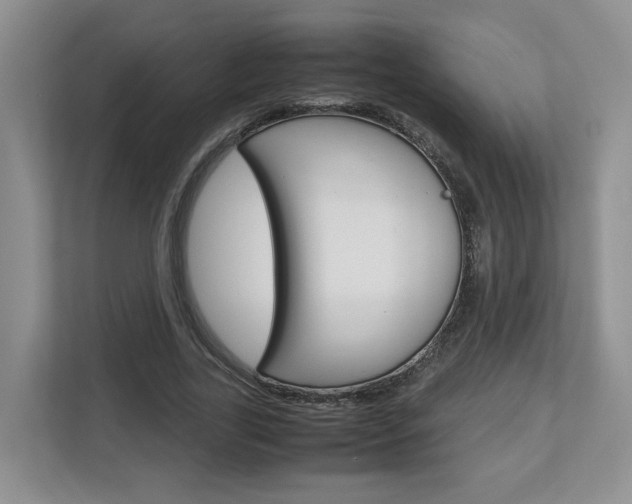 X0000113010731200908270939