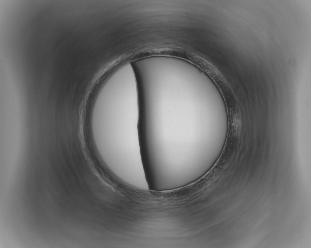 X0000113010732200908270939