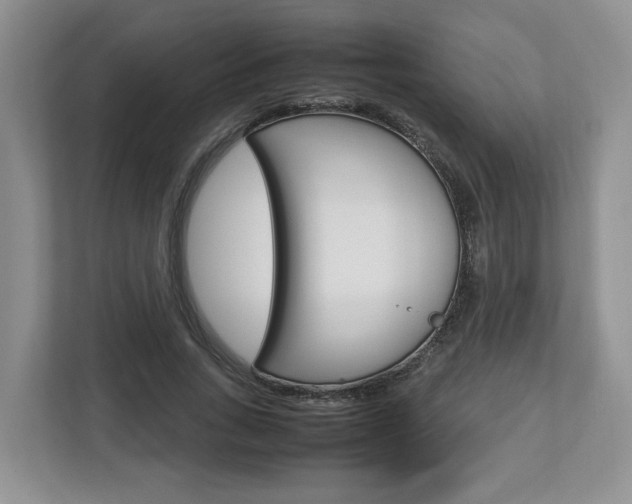 X0000113010735200908270939