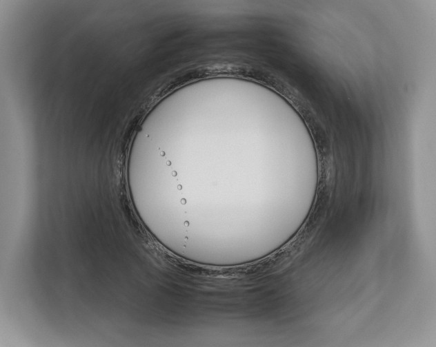 X0000113010737200908270939