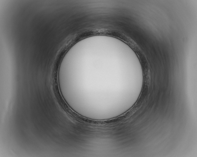 X0000113010738200908270939
